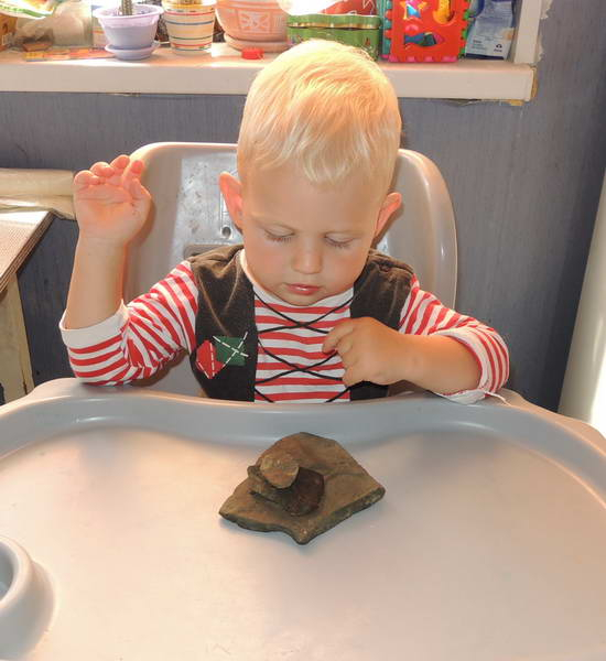 ТЗ 30 Камешки. 2 г.