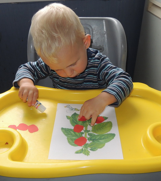 ТН 20 Как растут овощи. 1г 9 мес.