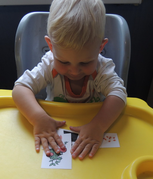 ТН 20 Как растут овощи. 1г 9 мес.