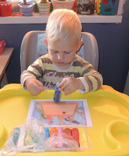 ТН 20 Как растут овощи. 1г 9 мес.