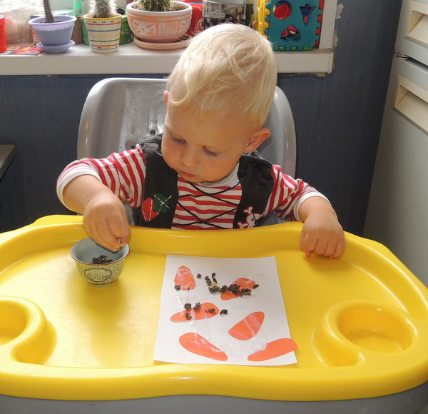 ТН 20 Как растут овощи. 1г 9 мес.