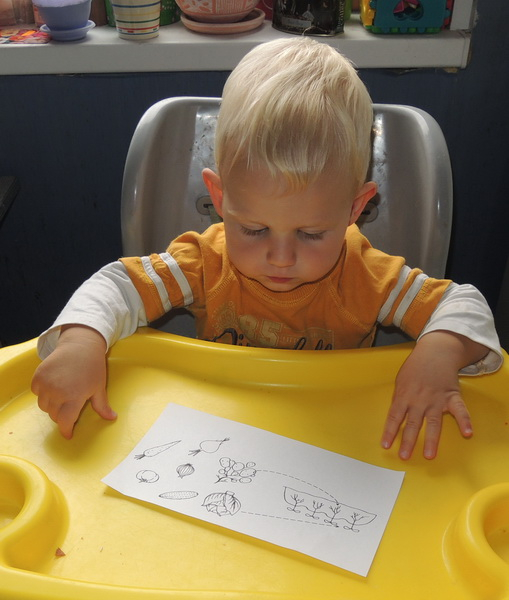 ТН 20 Как растут овощи. 1г 9 мес.