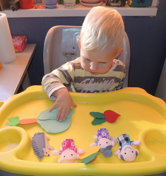 ТН 20 Как растут овощи. 1г 9 мес.