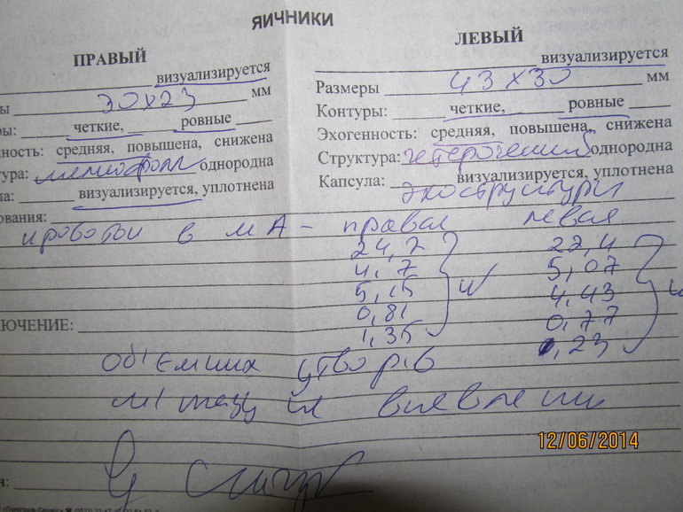 ну вот и сходила на доплер