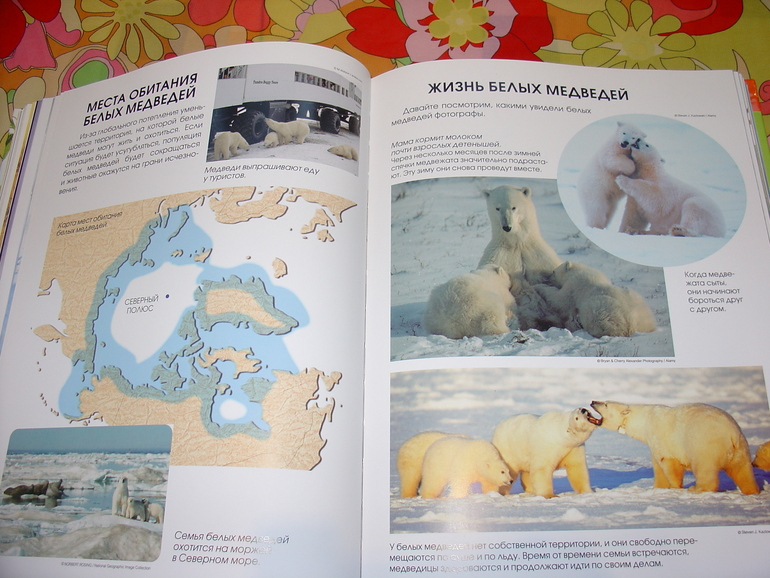 Мир животных, энциклопедия.