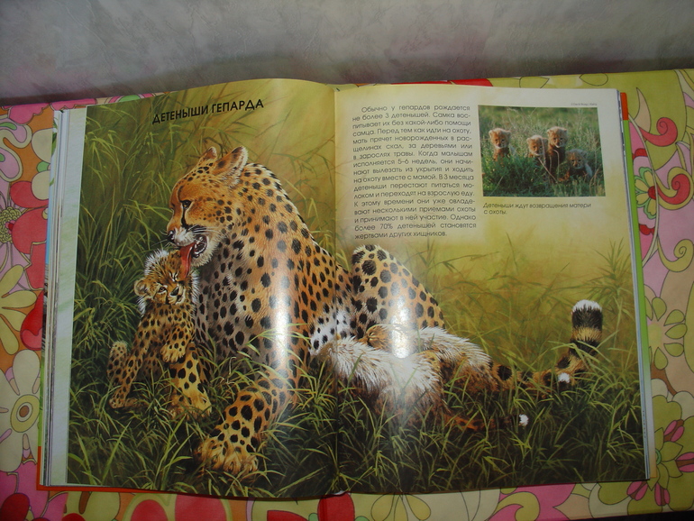 Мир животных, энциклопедия.