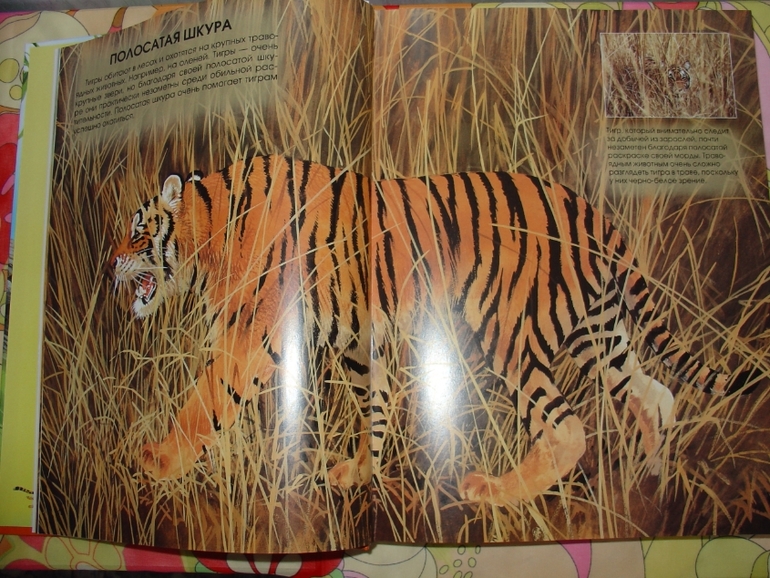 Мир животных, энциклопедия.