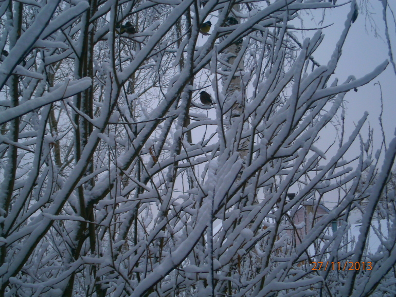 И до нас наконец то дошла зима!!!!