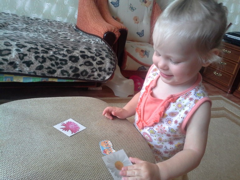 Цветное удовольствие (Шичида для малышей)