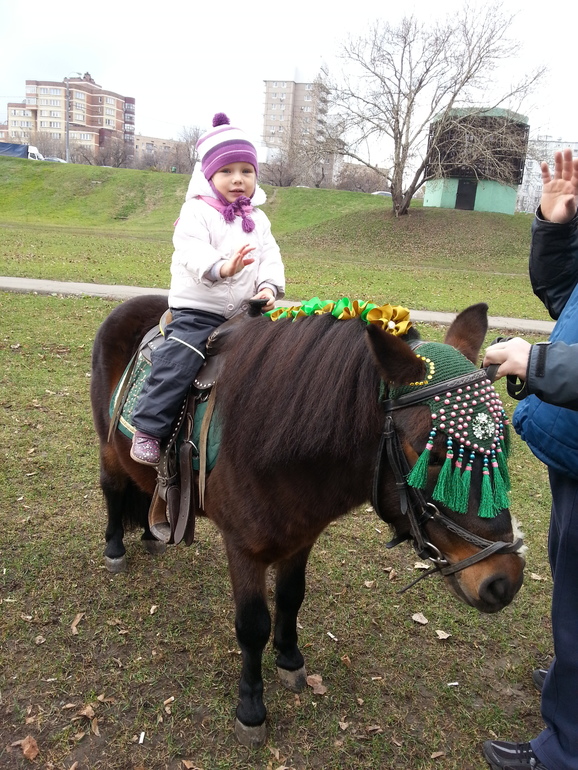 Наши ноябрьские выходные. Коломенское + Измайлово.