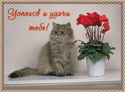 5b8fd1bdeebc7300319dbb000dd8aede.gif