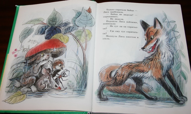 Наши книги с Сутеевым
