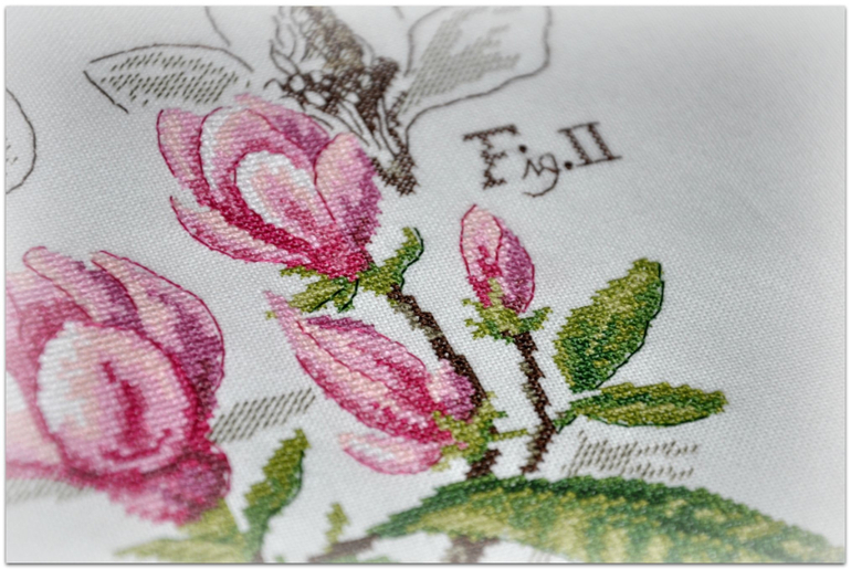 Магнолия, Véronique Enginger