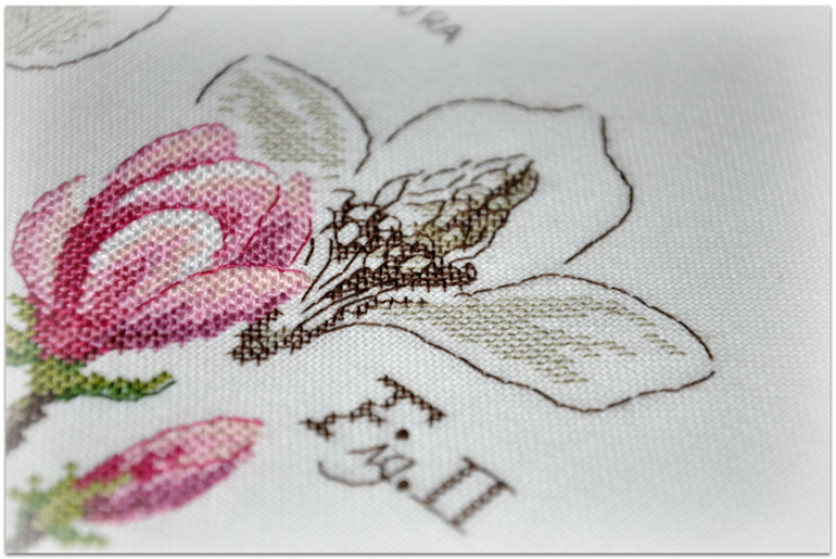 Магнолия, Véronique Enginger