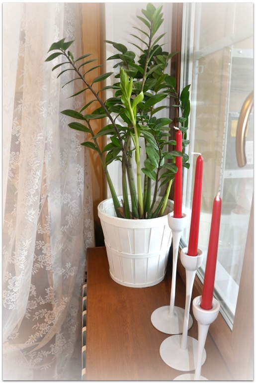 Покупки на кухню