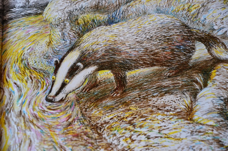 Две очень ночные книги!