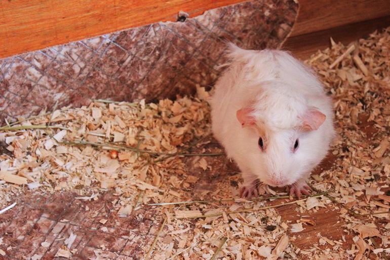 Девчачьи вылазки. Часть первая - трогательная