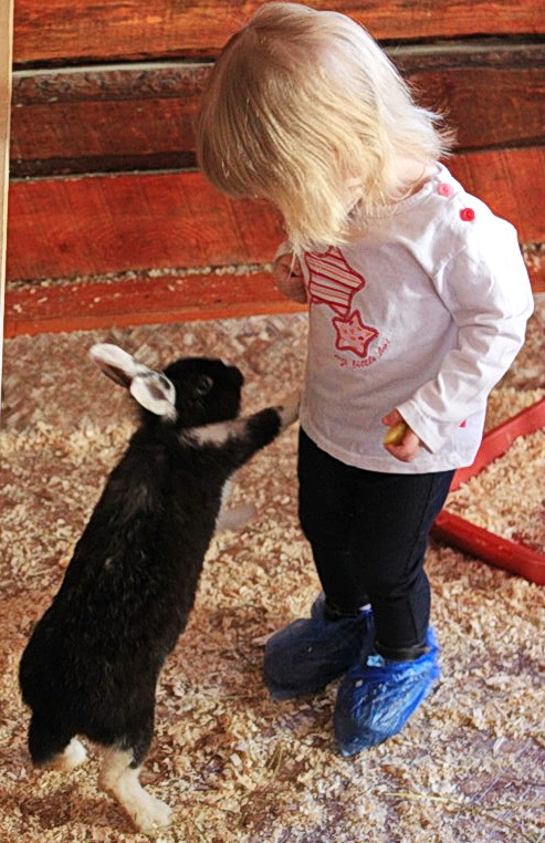Девчачьи вылазки. Часть первая - трогательная