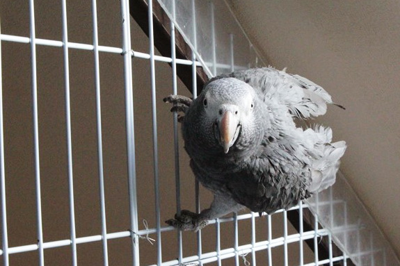 Девчачьи вылазки. Часть первая - трогательная