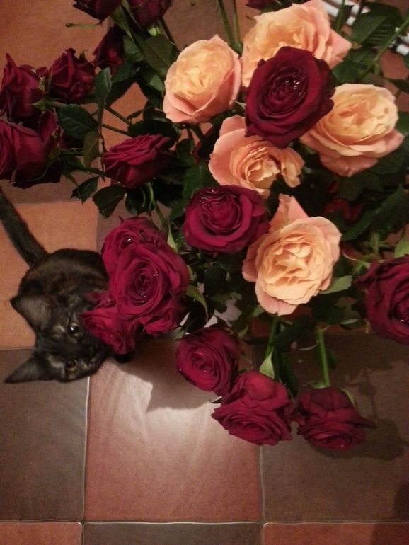 Барселона в цветах