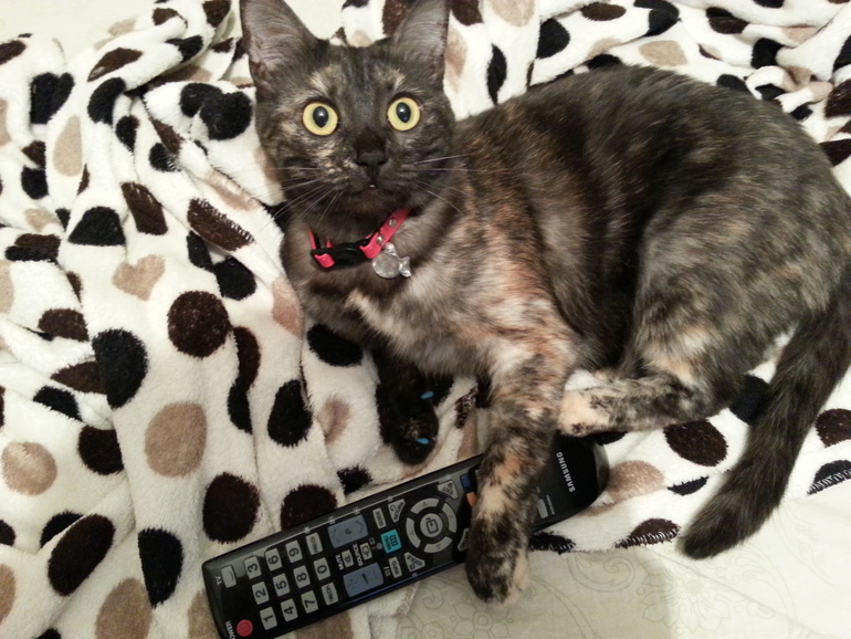 Моя девочка!!!!!