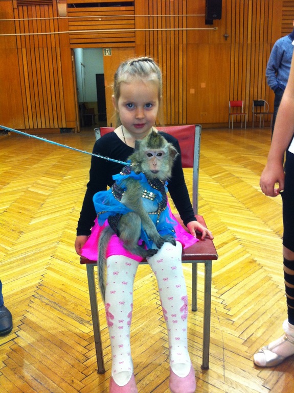 Моя обезьянка с макакой)))