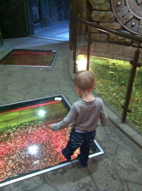 Океанариум