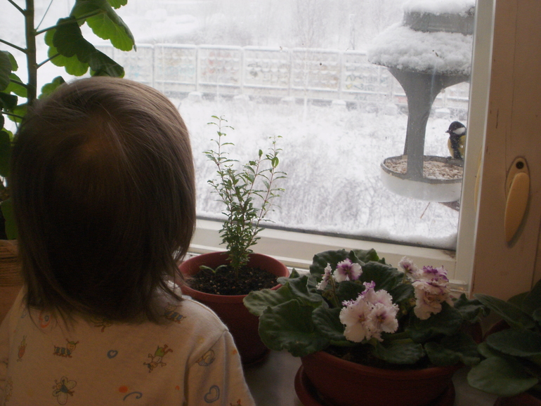 А у нас снегопад! А у Вас?