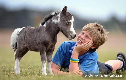 ОТКРЫТИЕ КОНТАКТНОГО ЗООПАРКА! КОНФЕТКА
