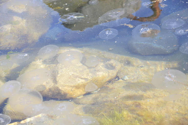 Пляжные игры