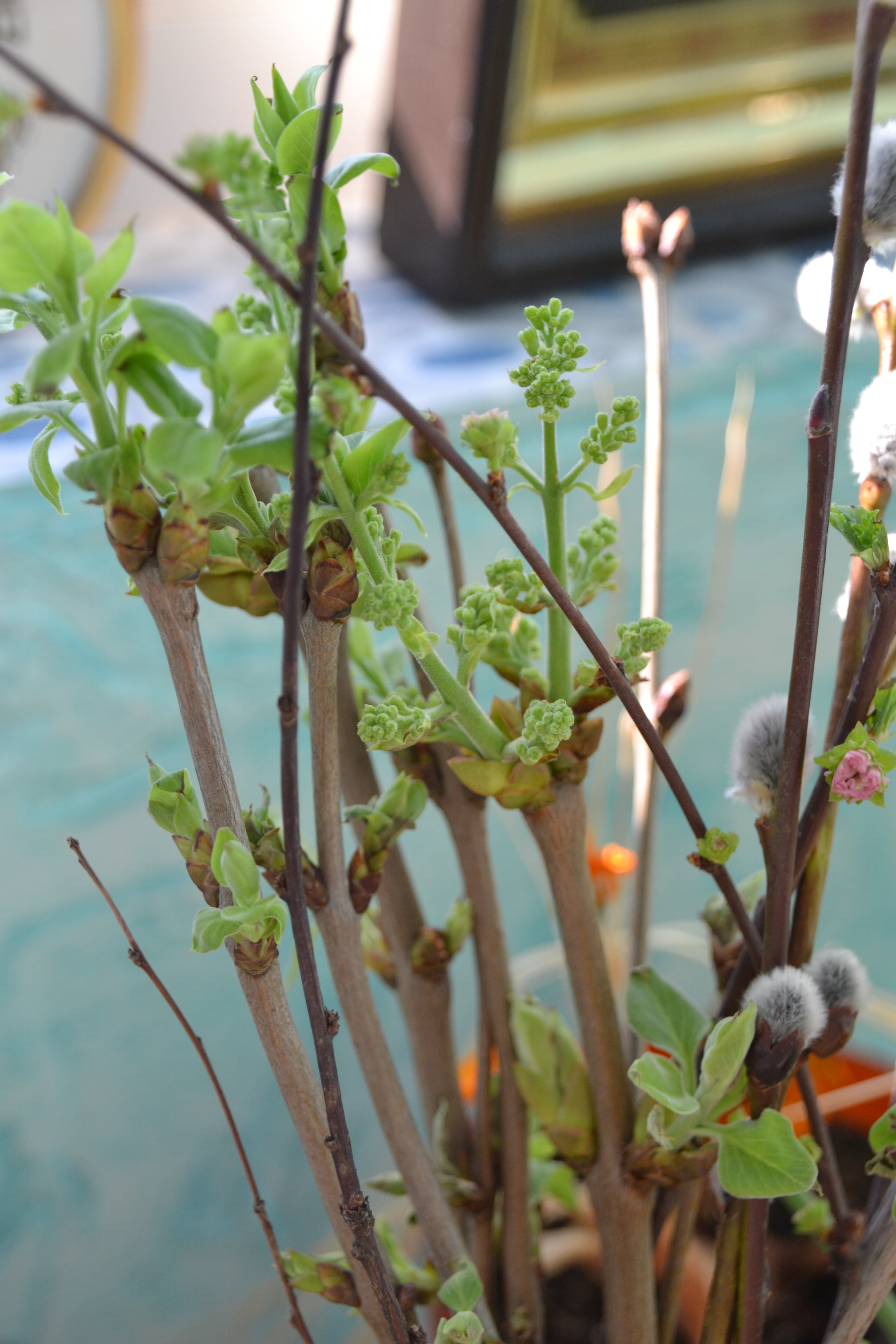 Ближе к природе