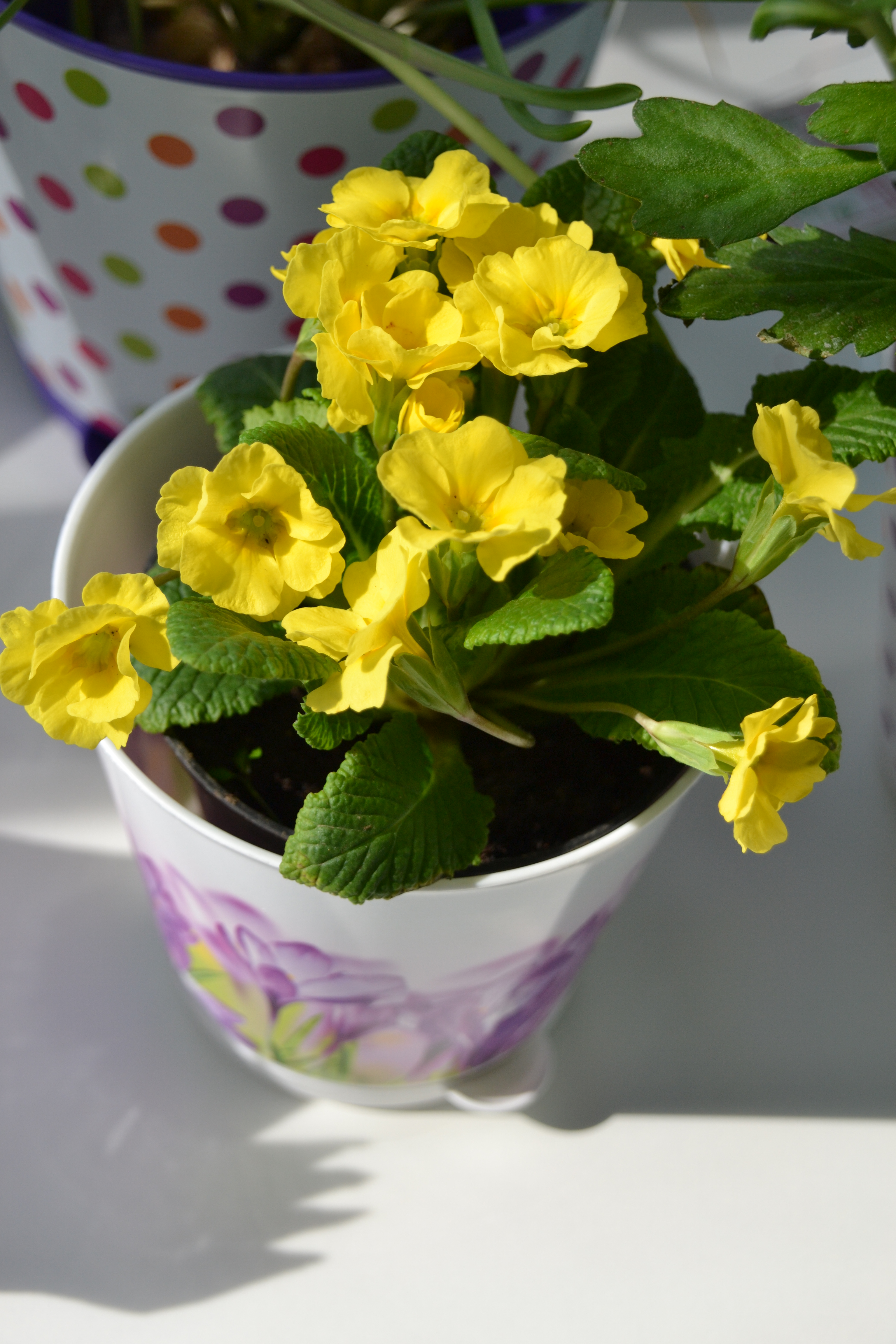 Ближе к природе