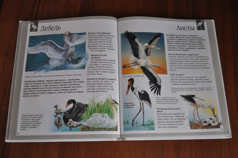 Наши любимые книги