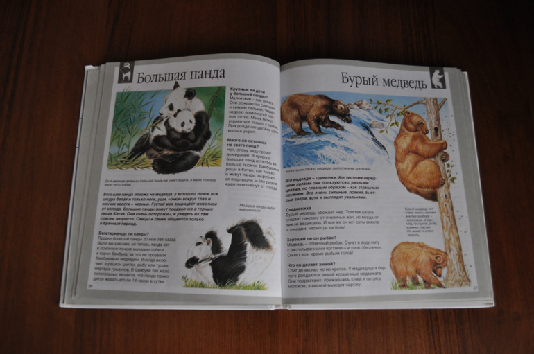 Наши любимые книги