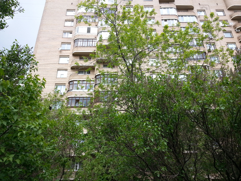 фотоотчет о встрече )