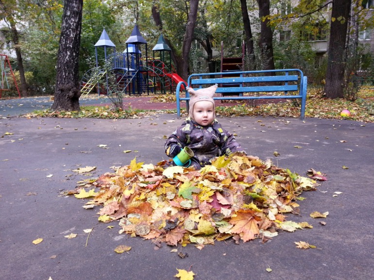 Немного мобильной осени...