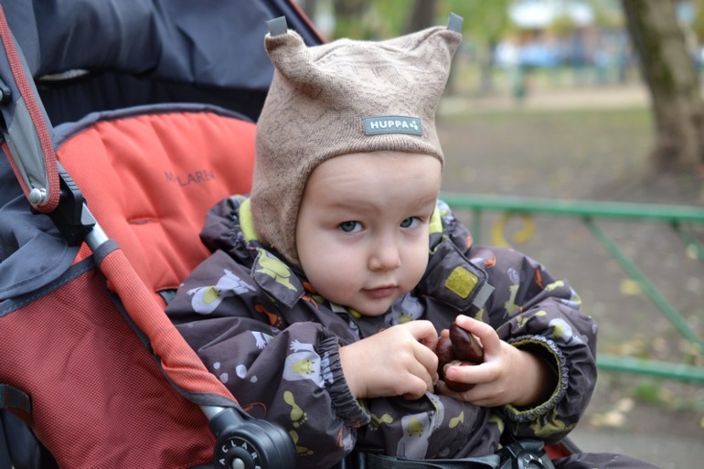 1 год 8 месяцев