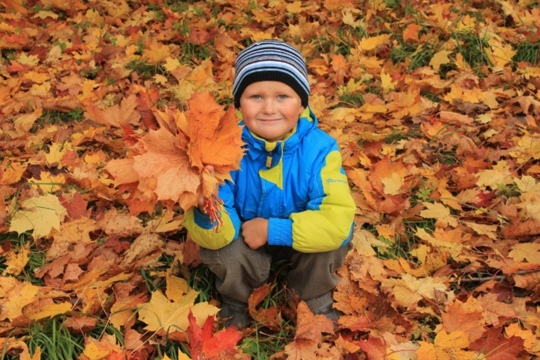 И у нас наступила золотая осень