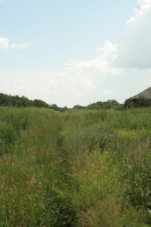 Дернова. останки...