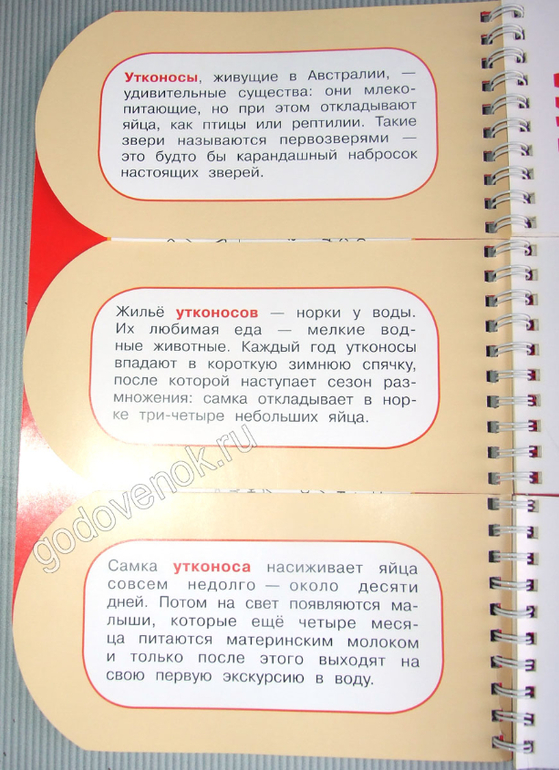 Для обучения чтению: