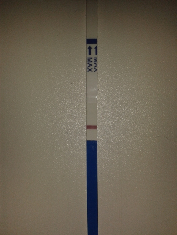 фрау-тест. 10 ДПО