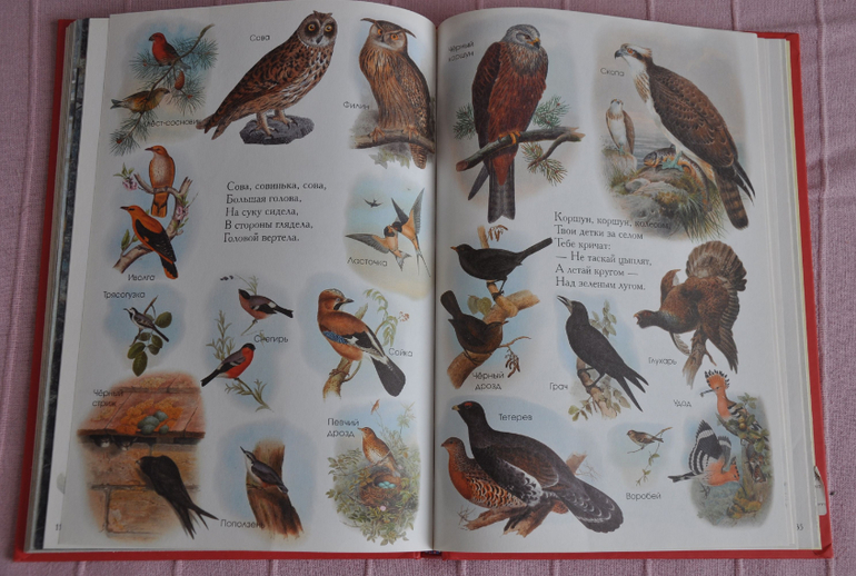 Весенние книги и произведения, 2 - 3 года