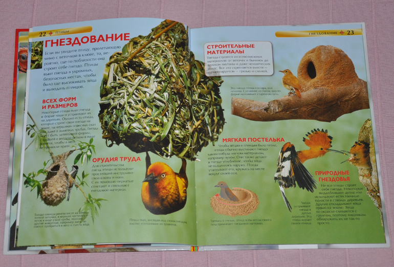 Весенние книги и произведения, 2 - 3 года