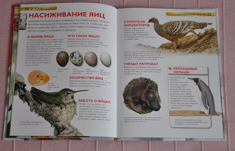 Весенние книги и произведения, 2 - 3 года