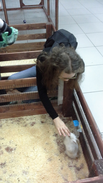 Про Любин ДР