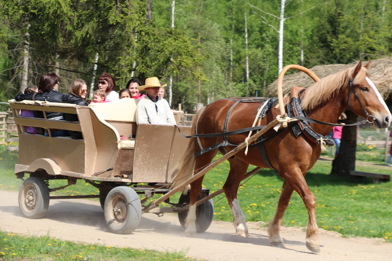 Майские в Минске