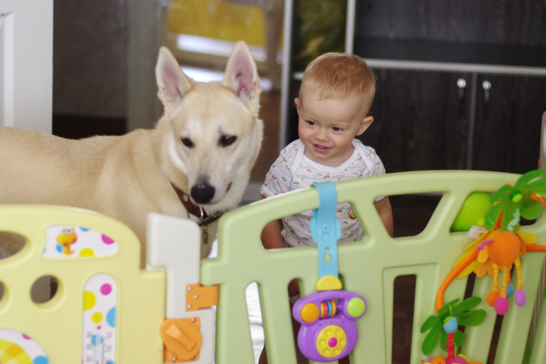 умелки умелки, для архива))