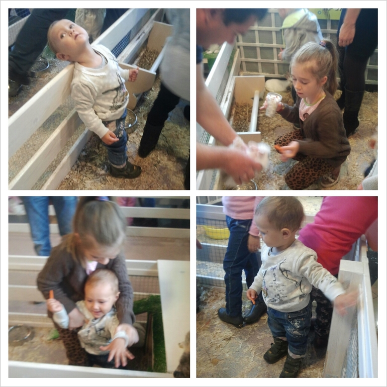 много девочек!