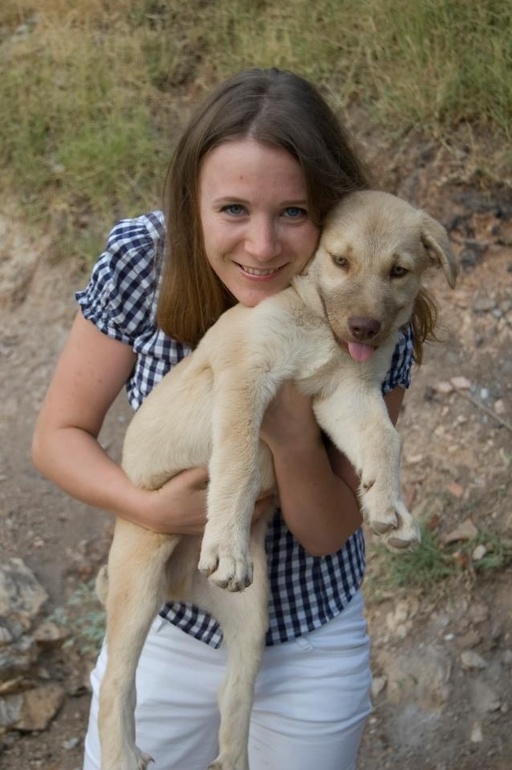 Приветствие