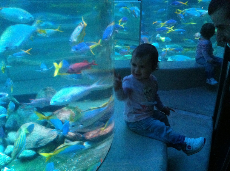 Океанариум